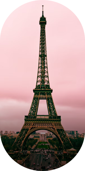 study in abroad consultancy