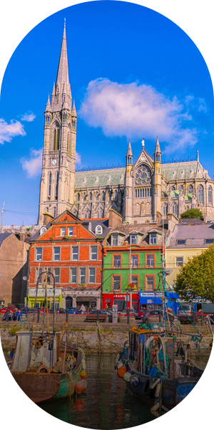 study in abroad consultancy