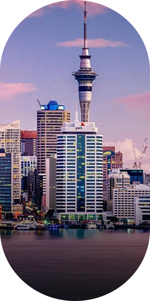 study in abroad consultancy