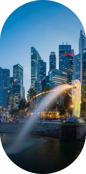 study in abroad consultancy